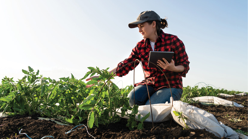 A woman farmer with digital tablet on a potato field